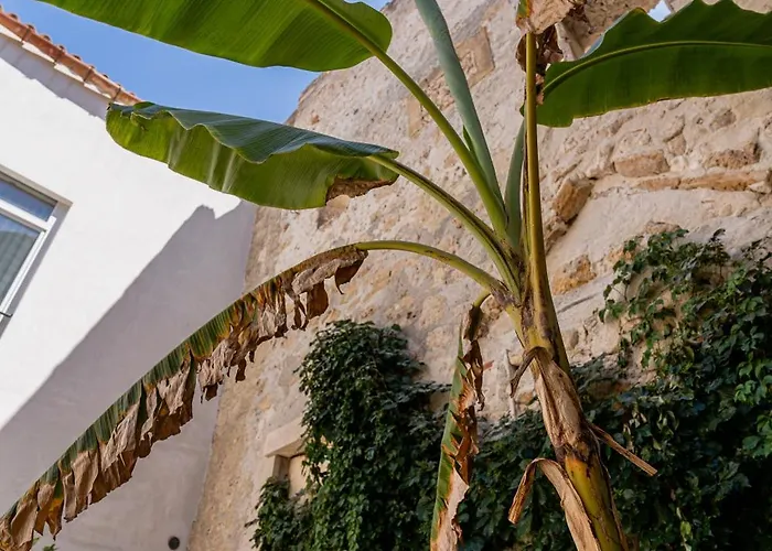 Isabella Di CastigliaAlbergo